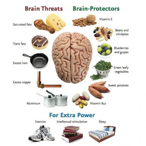 brain foods, exam food, what food to eat before exam, home tuition, private tuition, home tuition singapore, exam prepraration, nutrition for exam, food for exam, drinks for exam